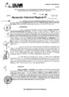 Vista preliminar de documento RDR 11691-2024