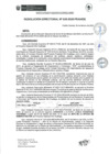 Vista preliminar de documento rd035-2025