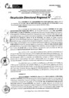 Vista preliminar de documento RDR 11695-2024