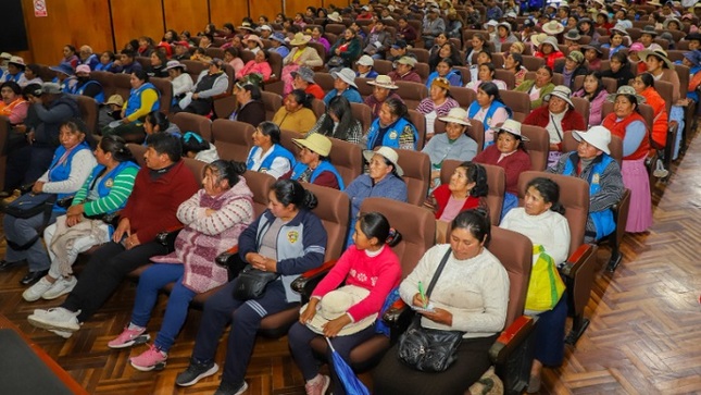 Capacitan a más de 500 comerciantes ambulantes para fortalecer la seguridad alimentaria en Puno