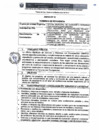 Vista preliminar de documento TDR Nº 414