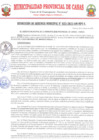 Vista preliminar de documento RG25