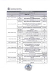 Vista preliminar de documento VPA febrero