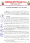 Vista preliminar de documento RG28