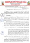 Vista preliminar de documento RG31