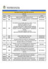 Vista preliminar de documento VPA junio