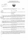 Vista preliminar de documento RDR 11703-2024