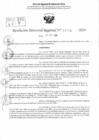 Vista preliminar de documento RDR 11704-2024