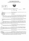 Vista preliminar de documento RDR 11705-2024