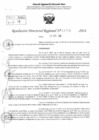 Vista preliminar de documento RDR 11706-2024