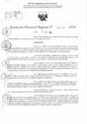 Vista preliminar de documento RDR 11707-2024