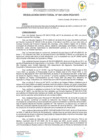 Vista preliminar de documento rd041-2025