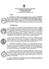 Vista preliminar de documento am015-2025
