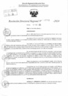 Vista preliminar de documento RDR 11708-2024