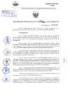 Vista preliminar de documento Resolución Directoral N° 000089 - 2025
