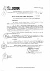 Vista preliminar de documento RDR 11710-2024