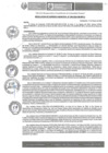 Vista preliminar de documento RGM-096-2025-GM-MPLC