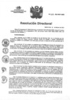 Vista preliminar de documento RD N°039