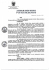 Vista preliminar de documento Acuerdo de Consejo Regional