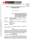 Vista preliminar de documento RSASCM 008 Durand