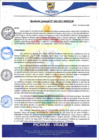 Vista preliminar de documento rgm2