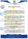 Vista preliminar de documento rgm4