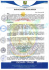 Vista preliminar de documento rgm7
