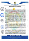 Vista preliminar de documento rgm12