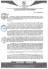 Vista preliminar de documento rgm37