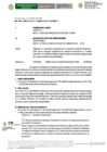Vista preliminar de documento INFORME N. 0000001-2024 AUTO DIRECTORAL 002-2025