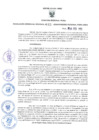 Vista preliminar de documento GRDS.063