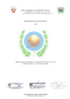 Vista preliminar de documento BASES CAS 001-2025