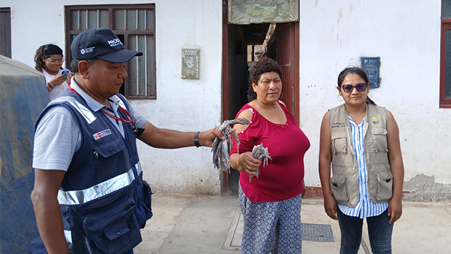 Municipalidad realizo la repartición de calamar a comedores de la ciudad