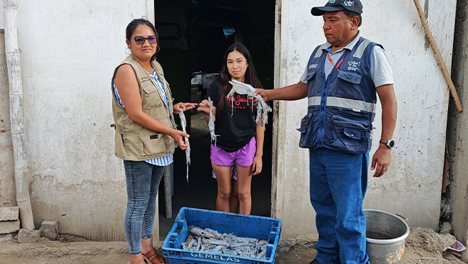Municipalidad realizo la repartición de calamar a comedores de la ciudad
