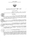 Vista preliminar de documento 0261