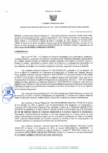 Vista preliminar de documento Resolucion Gerencial Regional 234-2025