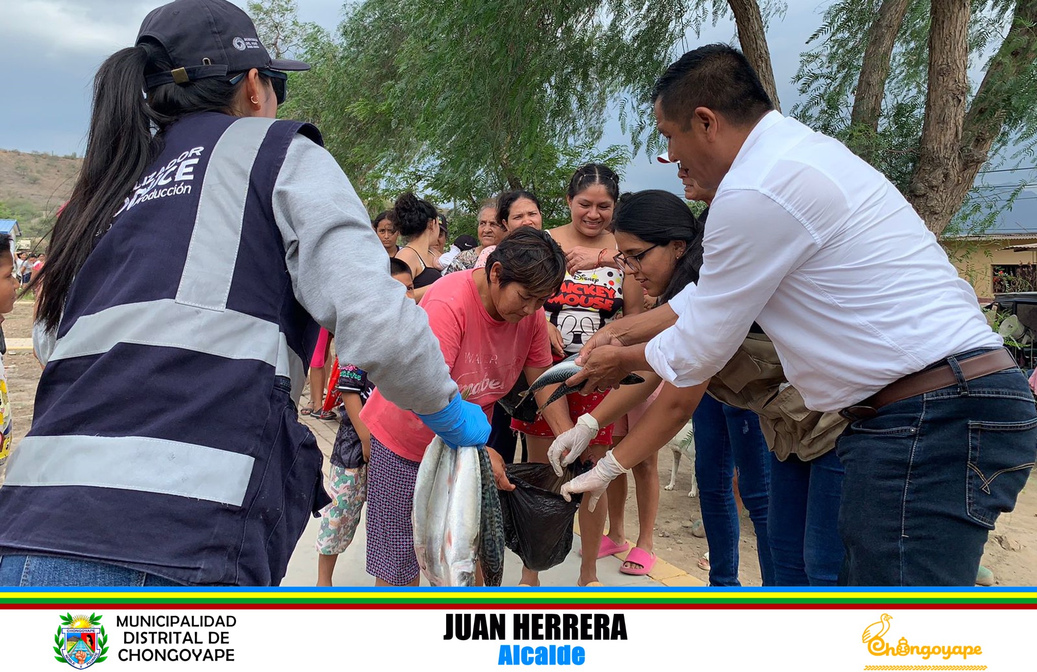 Archivo JPG de repartición de pescado.