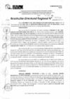Vista preliminar de documento RDR 11712-2024