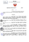 Vista preliminar de documento Resolucion Directoral N° 000449-2025