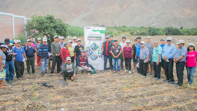 Municipalidad fortalece capacidades productivas en análisis de suelo y fertilización en el valle Huarmey