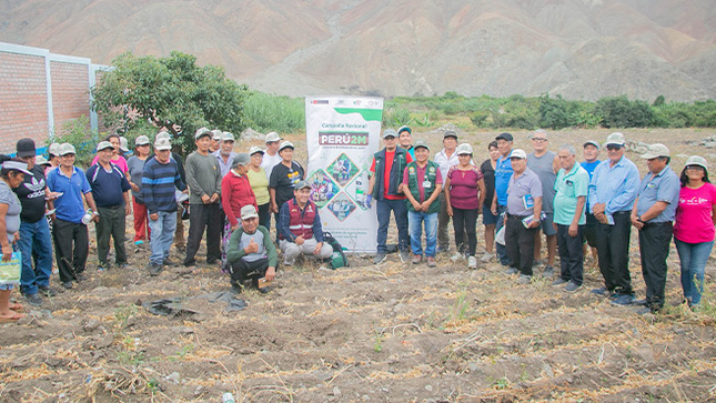 Municipalidad fortalece capacidades productivas en análisis de suelo y fertilización en el valle Huarmey