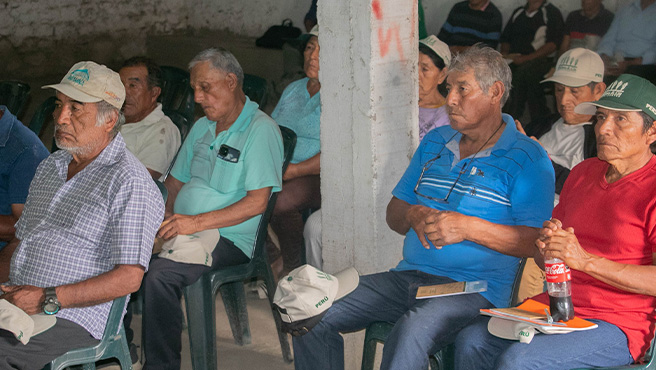 Municipalidad fortalece capacidades productivas en análisis de suelo y fertilización en el valle Huarmey