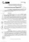 Vista preliminar de documento RDR 11715-2024