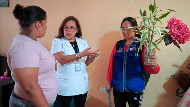 Diris Lima Sur realiza jornada de Control Vectorial de dengue en Santiago de Surco