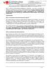 Vista preliminar de documento RJ 06-2025 COMITE CONSULTORIA PAMPAGRANDE