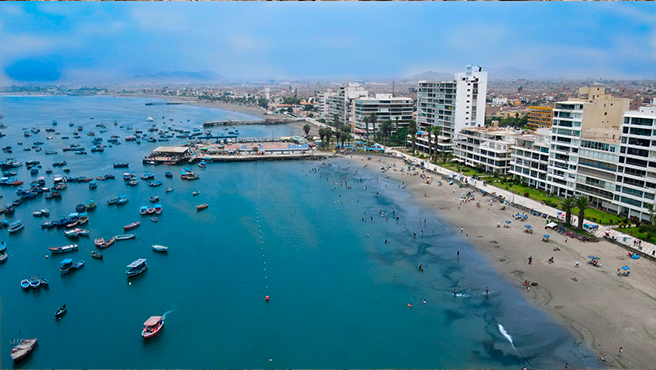 fauna marina costera