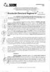 Vista preliminar de documento RDR 11722-2024
