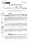 Vista preliminar de documento RDR 11723-2024