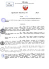 Vista preliminar de documento Resolucion Directoral N° 000452-2025