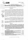 Vista preliminar de documento RDR 11726-2024